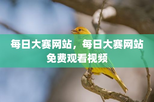 每日大赛网站，每日大赛网站免费观看视频