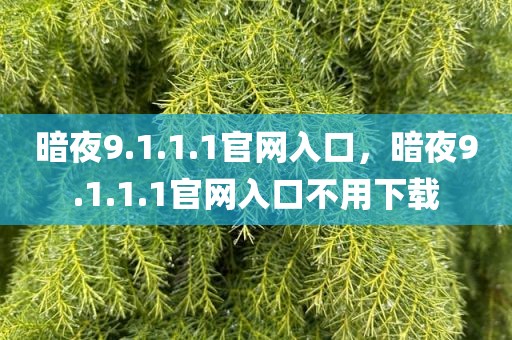 暗夜9.1.1.1官网入口，暗夜9.1.1.1官网入口不用下载