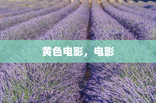 黄色电影，电影