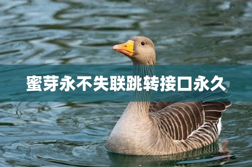 蜜芽永不失联跳转接口永久