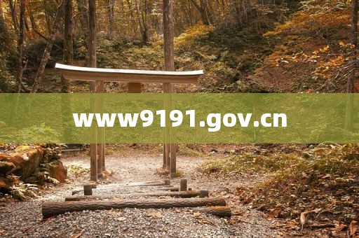 www9191.gov.cn