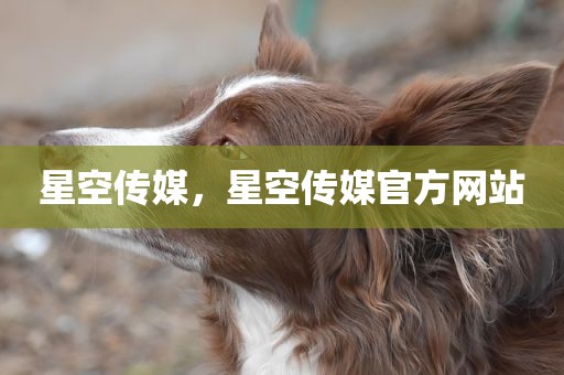 星空传媒，星空传媒官方网站