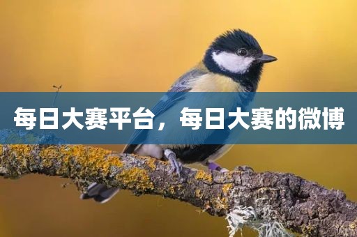 每日大赛平台，每日大赛的微博