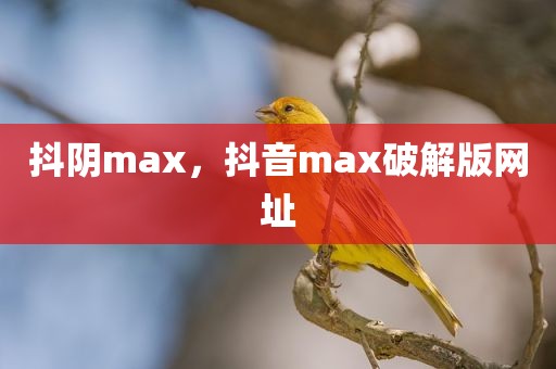 抖阴max，抖音max破解版网址