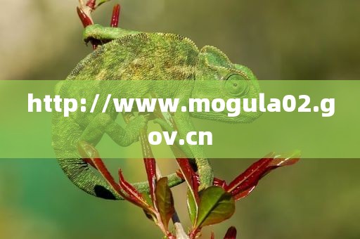 http://www.mogula02.gov.cn