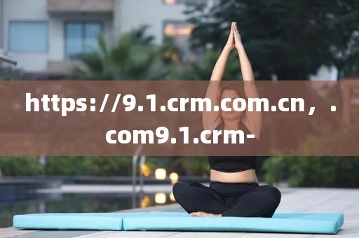 https://9.1.crm.com.cn，.com9.1.crm-