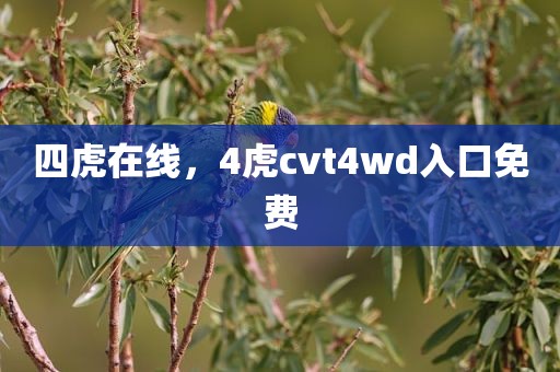 四虎在线，4虎cvt4wd入口免费
