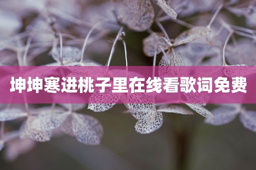 坤坤寒进桃子里在线看歌词免费
