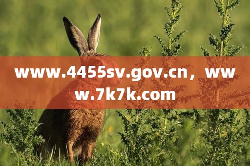 www.4455sv.gov.cn，www.7k7k.com