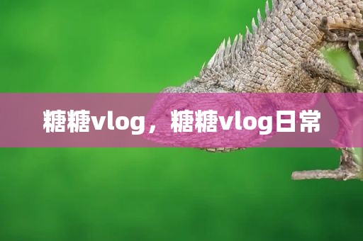 糖糖vlog，糖糖vlog日常