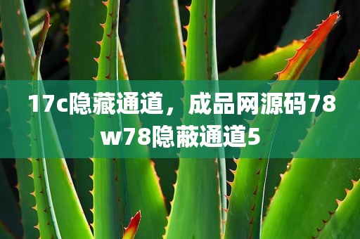 17c隐藏通道，成品网源码78w78隐蔽通道5