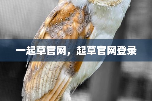 一起草官网，起草官网登录