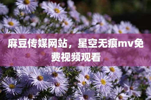 麻豆传媒网站，星空无痕mv免费视频观看