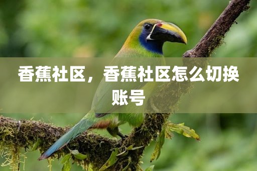 香蕉社区，香蕉社区怎么切换账号