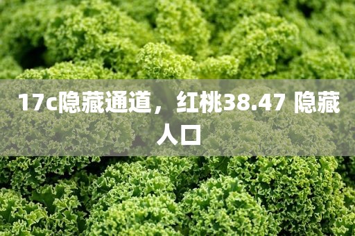 17c隐藏通道，红桃38.47 隐藏人口