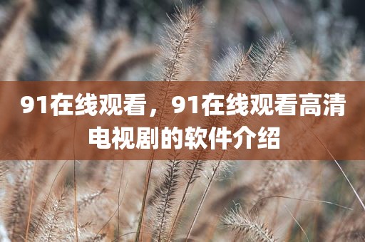 91在线观看，91在线观看高清电视剧的软件介绍
