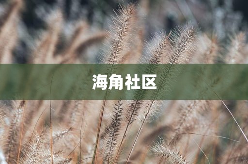 海角社区