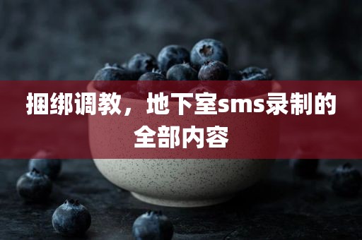 捆绑调教，地下室sms录制的全部内容