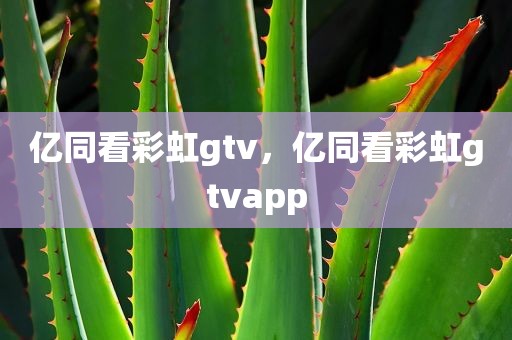 亿同看彩虹gtv，亿同看彩虹gtvapp