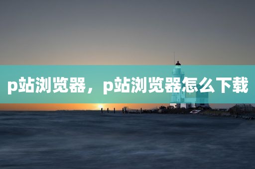 p站浏览器，p站浏览器怎么下载