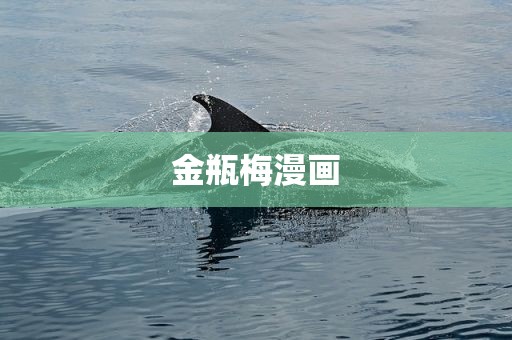 金瓶梅漫画