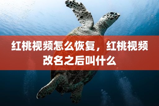 红桃视频怎么恢复，红桃视频改名之后叫什么
