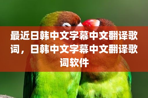 最近日韩中文字幕中文翻译歌词，日韩中文字幕中文翻译歌词软件