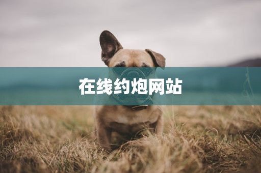 在线约炮网站