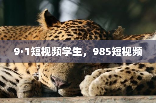 9·1短视频学生，985短视频