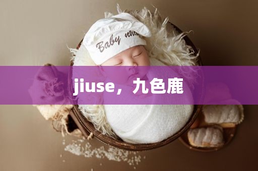 jiuse，九色鹿