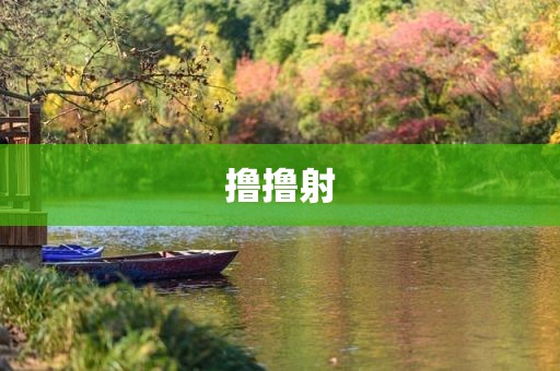 撸撸射