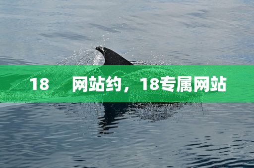 18     网站约，18专属网站