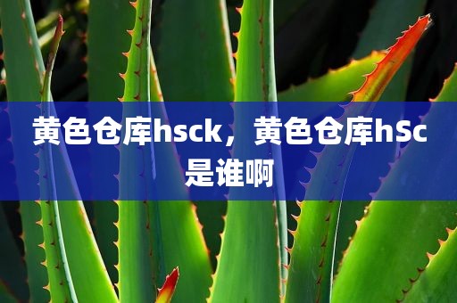 黄色仓库hsck，黄色仓库hSc是谁啊