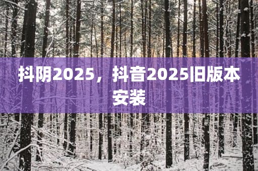 抖阴2025，抖音2025旧版本安装
