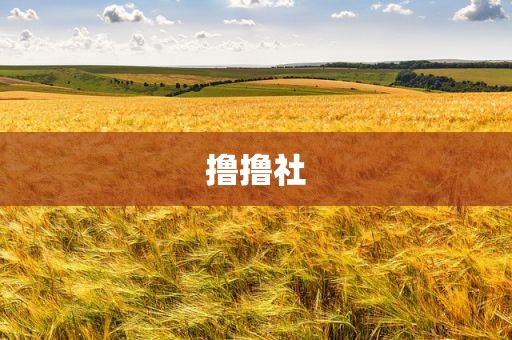 撸撸社