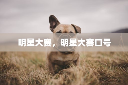 明星大赛，明星大赛口号