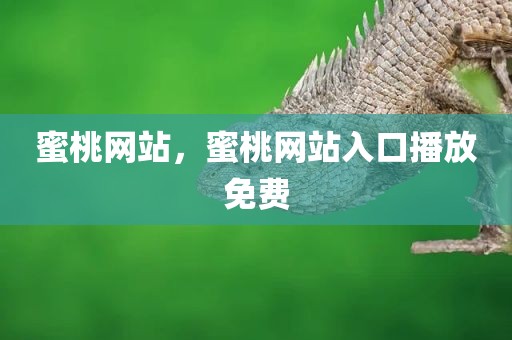 蜜桃网站，蜜桃网站入口播放免费