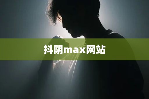 抖阴max网站