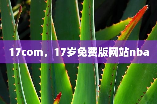 17com，17岁免费版网站nba