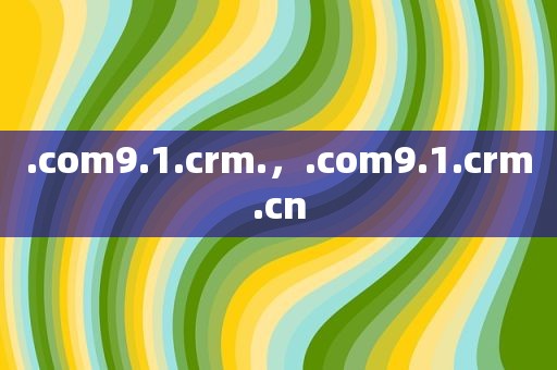 .com9.1.crm.，.com9.1.crm.cn