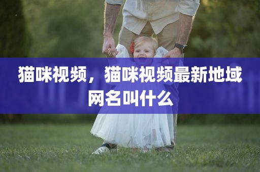 猫咪视频，猫咪视频最新地域网名叫什么