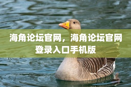 海角论坛官网，海角论坛官网登录入口手机版