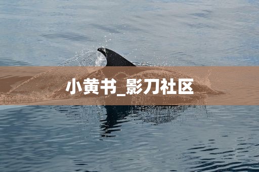 小黄书_影刀社区