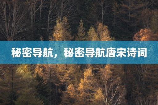 秘密导航，秘密导航唐宋诗词