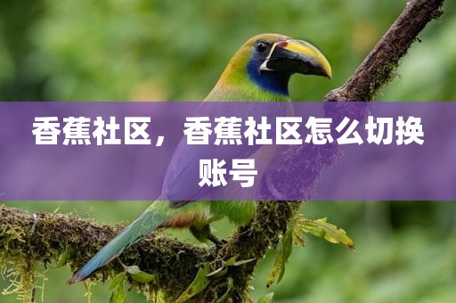 香蕉社区，香蕉社区怎么切换账号