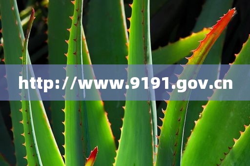 http://www.9191.gov.cn