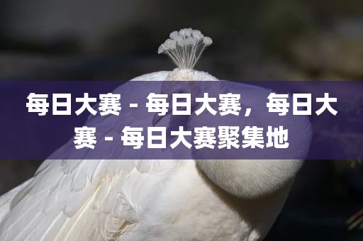 每日大赛 - 每日大赛，每日大赛 - 每日大赛聚集地