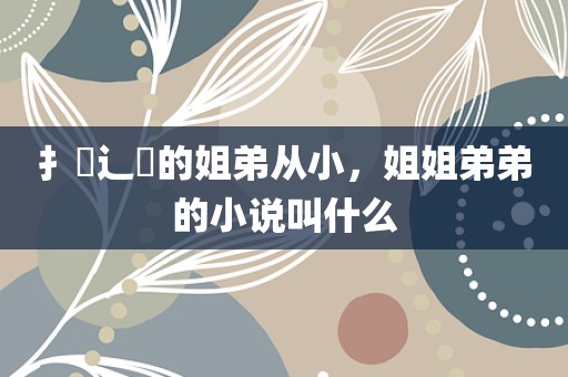 扌臿辶畐的姐弟从小，姐姐弟弟的小说叫什么