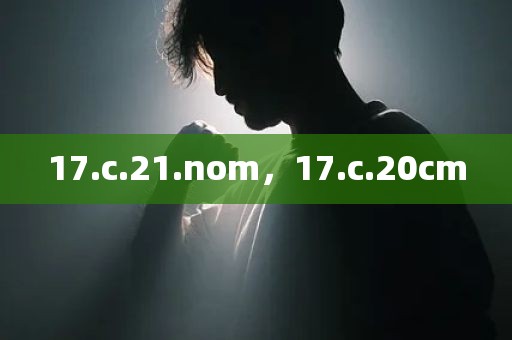 17.c.21.nom，17.c.20cm