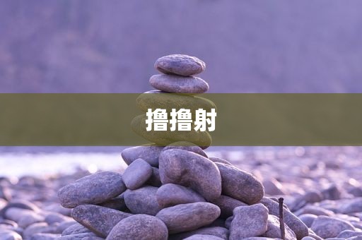 撸撸射